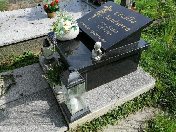 1fcfb576-52f3-4b17-af52-1a16696f324f