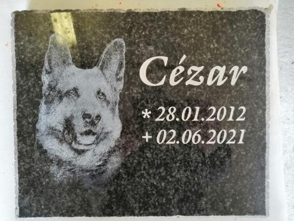 d3b42b6e-5e06-4636-bf2b-ef86bb5f04fb